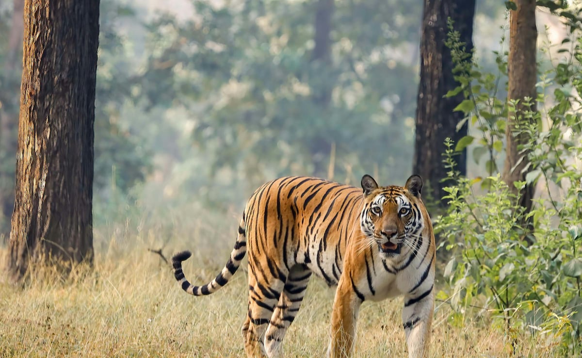 Latest and Breaking News on NDTV Latest and Breaking News on NDTV