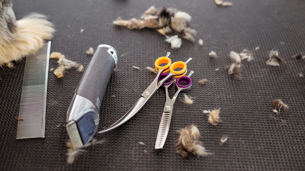 5 Cordless Grooming Devices With Long Battery Life 5 Cordless Grooming Devices With Long Battery Life