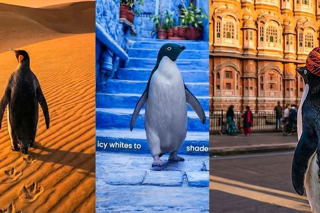 राजस्थान में पेंगुइन राजस्थान में पेंगुइन