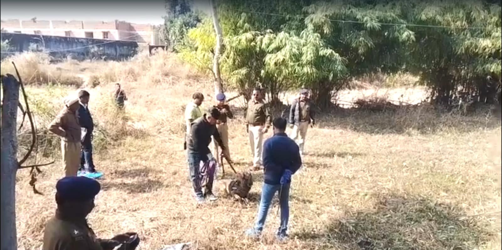 कोरबा पुलिस के ट्रैकर डॉग ‘बाघा' ने केस को सुलझाने में अहम भूमिका अदा की. उसी ने कातिल का पता लगाया. कोरबा पुलिस के ट्रैकर डॉग ‘बाघा' ने केस को सुलझाने में अहम भूमिका अदा की. उसी ने कातिल का पता लगाया.