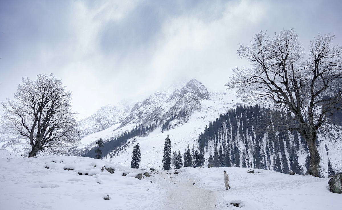 Latest and Breaking News on NDTV