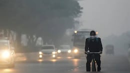 राजस्&zwj;थान की हवा जहरीली, बीकानेर और भ&zwj;िवाड़ी में एक्&zwj;यूआई 300 के पार पहुंचा&nbsp;