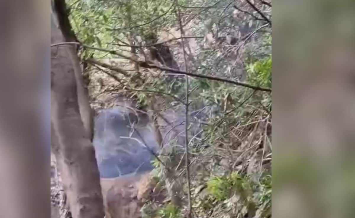 IED Found At Terror Hideout in J&K, Destroyed In Controlled Explosion