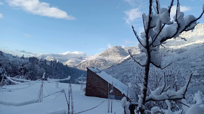 हिमाचल में बर्फबारी के बाद खिली धूप, लोगों ने ली राहत की सांस, सड़कें खोलने में जुटा प्रशासन