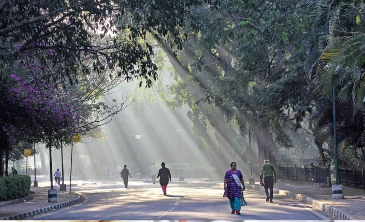 Latest and Breaking News on NDTV