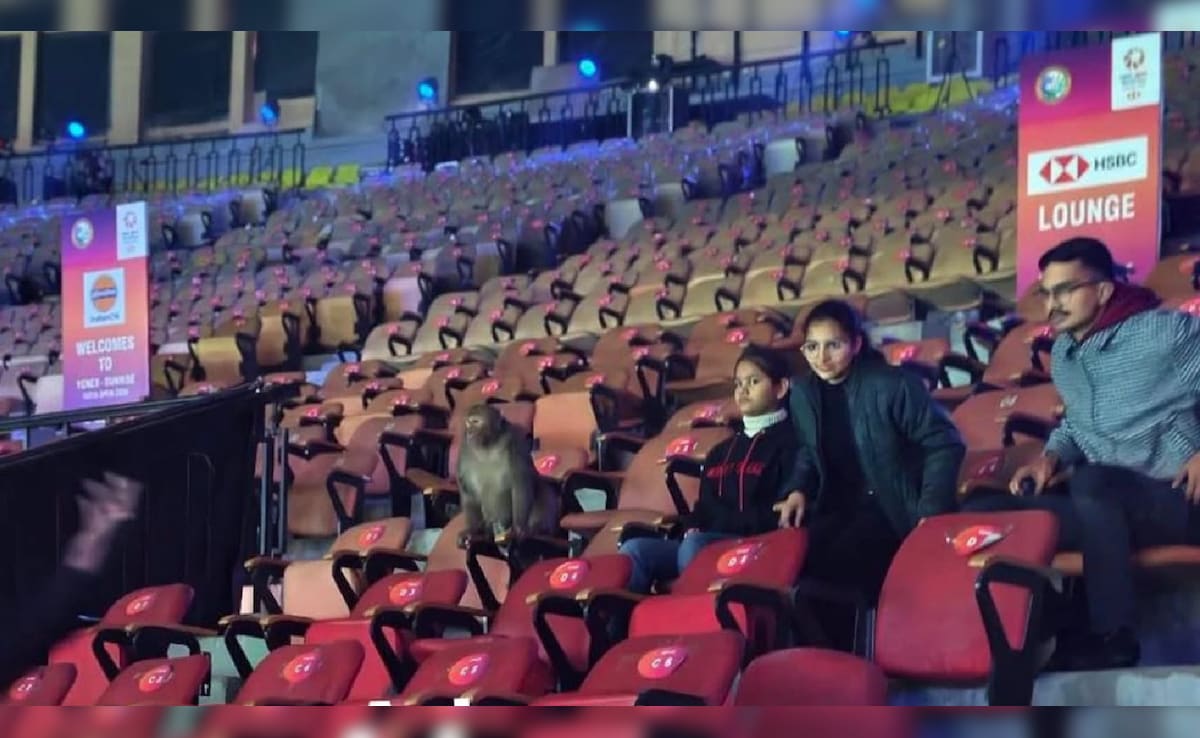 अलार्म की घंटी: इंडिया ओपन बैडमिंटन में पहले ‘सर्दी, कबूतर, प्रदूषण’ और अब ‘बंदर’ को लेकर कोहराम