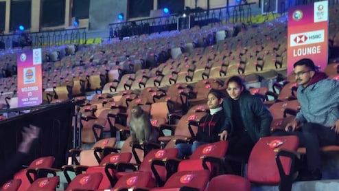 अलार्म की घंटी: इंडिया ओपन बैडमिंटन में पहले &lsquo;सर्दी, कबूतर, प्रदूषण&rsquo; और अब &lsquo;बंदर&rsquo; को लेकर कोहराम