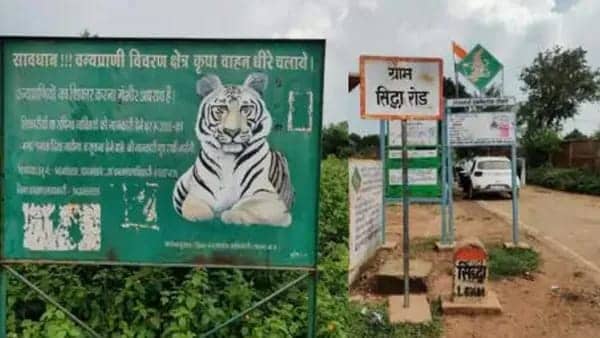 Illegal Mining: सतना सिद्धा पर्वत जाने का रास्ता