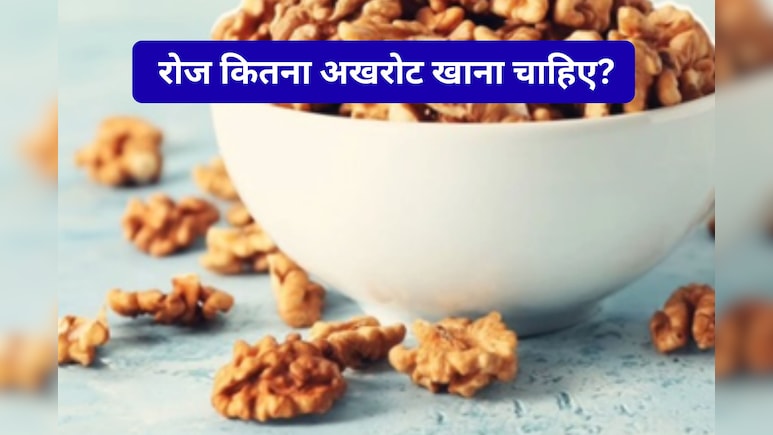 एंटीऑक्सीडेंट्स से भरपूर यह Dry Fruit, इम्युनिटी, याददाश्त करे मजबूत और कैंसर में भी कारगर