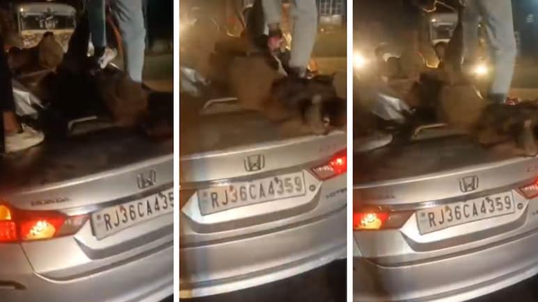 कार और ऊंट की भीषण भिड़ंत, छत तोड़कर सीट पर गिरा; 1 की मौत, बिजनेसमैन समेत 4 घायल