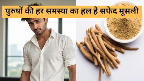 स्पर्म काउंट बढ़ाने, किडनी और यूरिन ही नहीं, पुरुषों की हर समस्या का हल है सफेद मूसली, बस ऐसे करें सेवन
