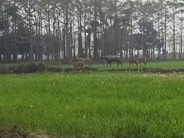 मधेपुरा के किसानों की पुकार- भुखमरी की हालत हो जाएगी, मदद करो सरकार