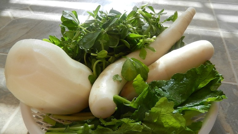 Is Consuming Muli Ki Patte Or Radish Leaves At Night Beneficial For Kidney Stones?