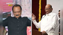 Election Results 2026: OBC फॅक्टर पवारांना नडला? भुजबळ आणि मुंडे निवडणुकीत न दिसल्याने फटका बसल्याचा दावा