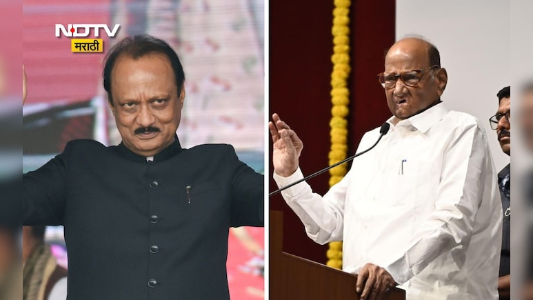 Election Results 2026: OBC फॅक्टर पवारांना नडला? भुजबळ, मुंडे निवडणुकीत न दिसल्याने फटका बसल्याचा दावा