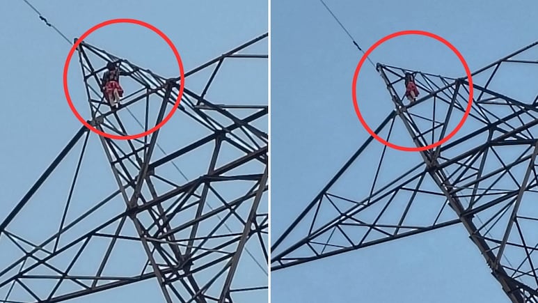 सिंगरौली: 250 रुपये के लिए पति-पत्नी का 'हाई वोल्टेज' ड्रामा, मेले में झूला झूलने की जिद पर हाईटेंशन टॉवर पर चढ़ी महिला