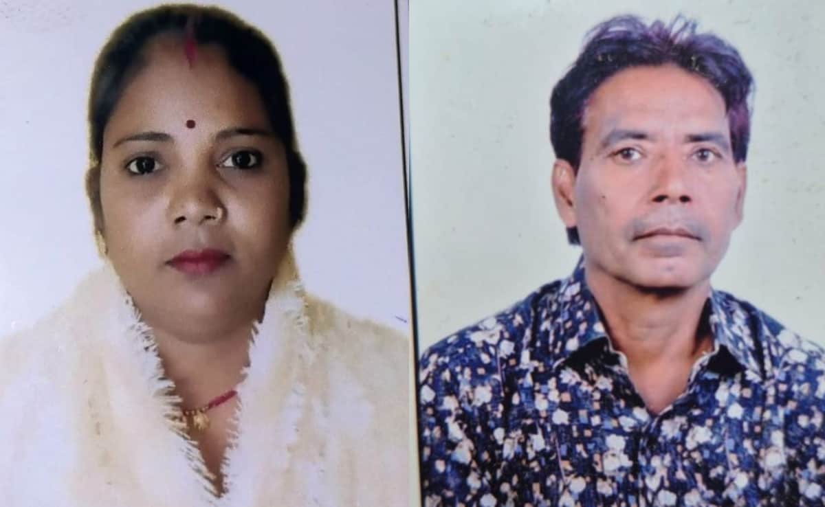 The Art of Baking: From Classic Bread to Artisan Pastries