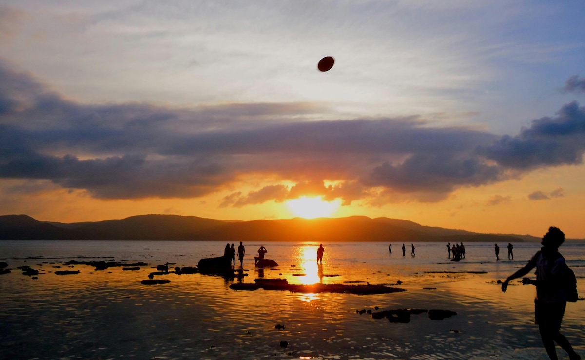 Latest and Breaking News on NDTV