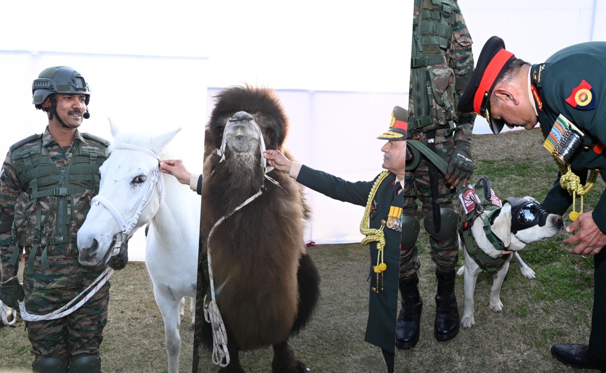 बर्फ, रेगिस्तान और खतरे में डटे रहने वाले साथियों का सम्मान, ऊंट से लेकर डॉग्स तक कौन-कौन शामिल