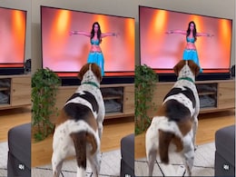 Try Not to Laugh Challenges... बैली डांसर को देख कुत्ते ने लचकाई कमर, अपने पेट के साथ ट्राई करें ये मजेदार ट्र&zwj;िक