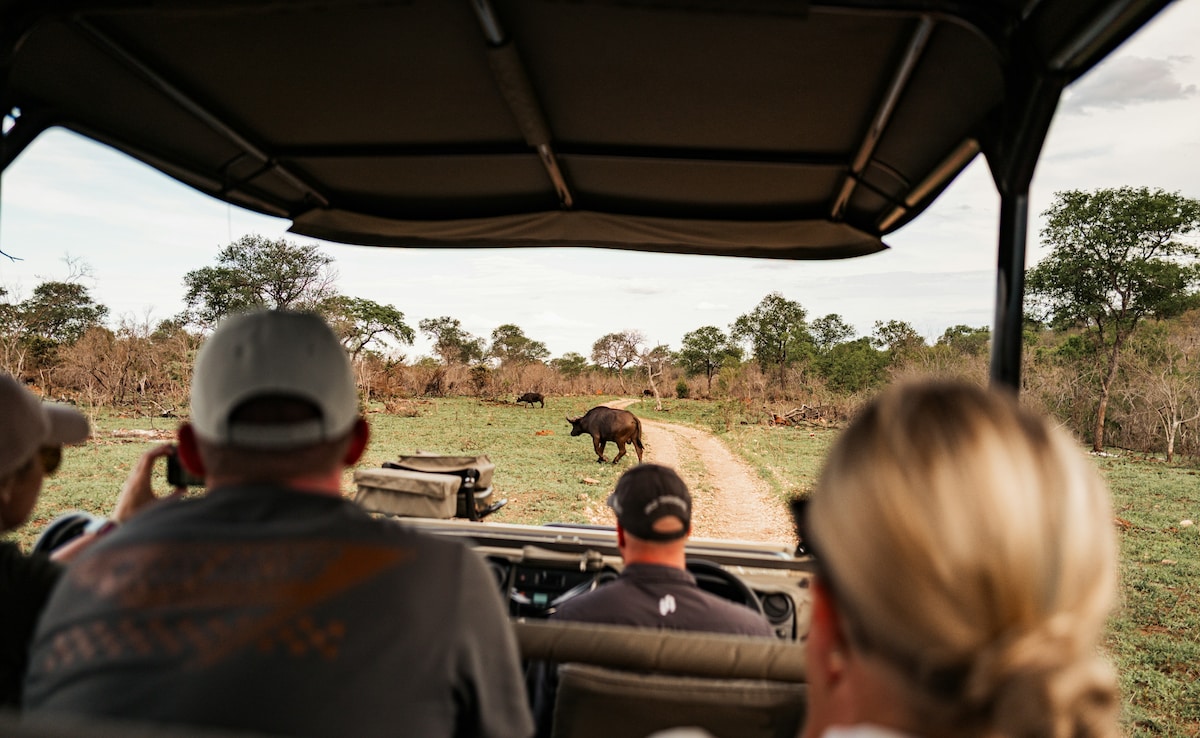 Latest and Breaking News on NDTV