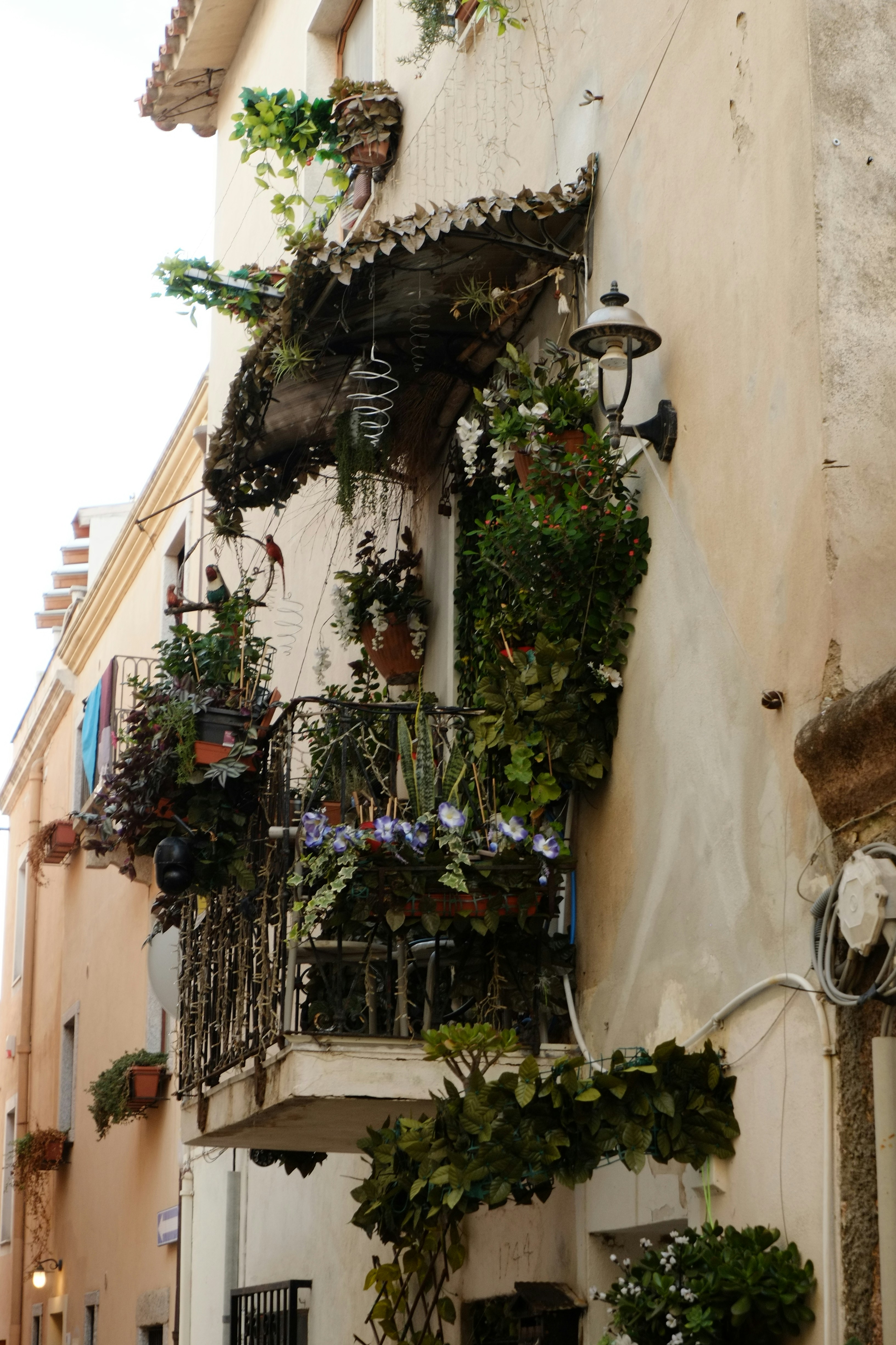 7 Tips To Save Potted Plants From Frost