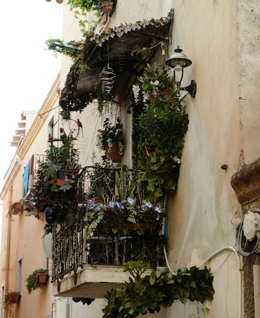 7 Tips To Save Potted Plants From Frost