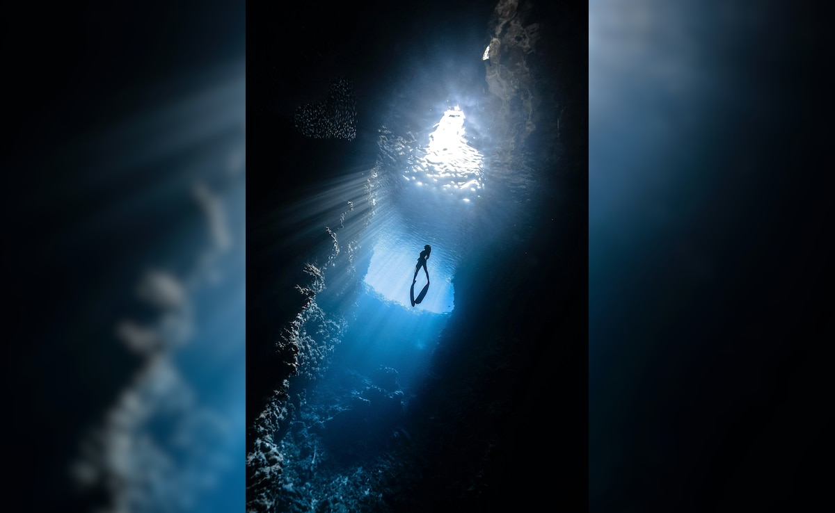 Latest and Breaking News on NDTV