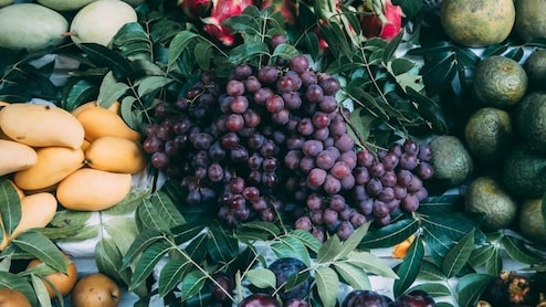 India-US Unveil Interim Trade Deal: No Duty Concessions On Sensitive Grains, Fruits, Dairy, Meat