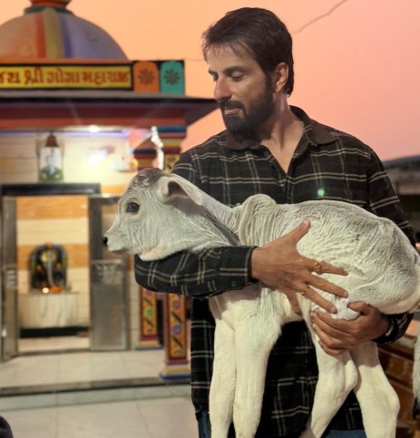 सोनू सूद ने की 7000 गायों की मदद, बेसहारा और घायल गायों की बेहतरी के लिए दान किए 22 लाख