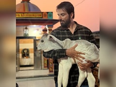 सोनू सूद ने की 7000 गायों की मदद, बेसहारा और घायल गायों की बेहतरी के लिए दान किए 22 लाख