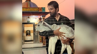 सोनू सूद ने की 7000 गायों की मदद, बेसहारा और घायल गायों की बेहतरी के लिए दान किए 22 लाख