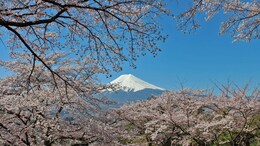 Why Japan Saw A Record 3 Lakh Indian Travellers In 2025, In 80% Rise Since Pre-Covid Numbers