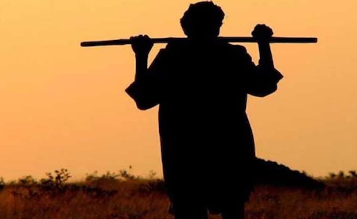 CG में सिस्टम से परेशान किसान आत्महत्या को हुआ मजबूर, अस्पताल में भर्ती; डेढ़ महीने से धान बेचने को नहीं मिल रहा टोकन