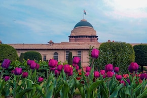 राष्ट्रपति भवन घूमने की कर रहे हैं प्लानिंग? जान लें टिकट से लेकर टाइमिंग तक, सभी जरूरी डिटेल्स