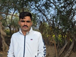 बाड़मेर में इंजीनियर निकला नशा तस्कर, गायों के बाड़े में छिपा रहा था अफीम का दूध