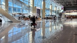 Russia Wanted To Sell A Moscow Airport For $1.7 Billion, No One Bought It. A 50% Sale Followed