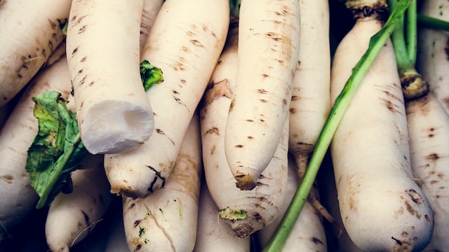 Radishes also provide essential minerals like zinc and iron, which play a role in immune function