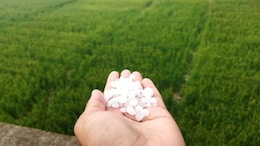 Rajasthan Weather: अलवर में झमाझम बारिश के साथ गिरे ओले, कही खिले किसानों के खिले चेहरे तो कही छाई चिंता की लकीरें