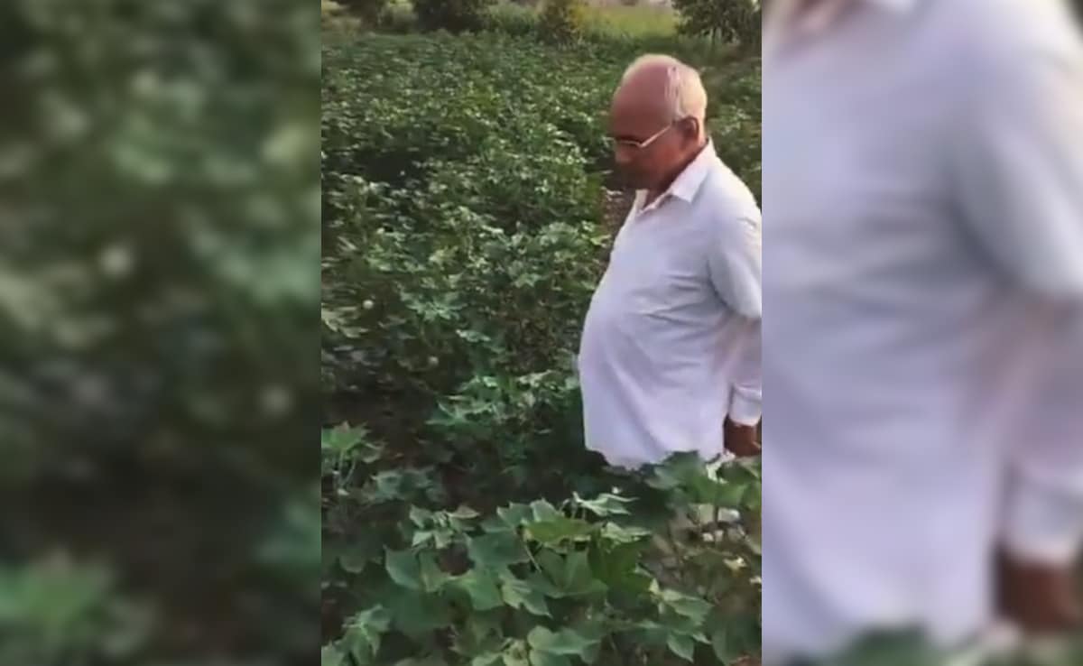 Latest and Breaking News on NDTV