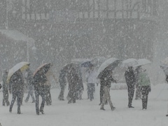 हिमाचल: कुल्लू की बर्फबारी में रात भर फंसे रहे पर्यटक, रेस्क्यू टीम ने समय रहते पहुंचकर बचाई जान