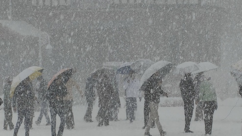 हिमाचल: कुल्लू की बर्फबारी में रात भर फंसे रहे पर्यटक, रेस्क्यू टीम ने समय रहते पहुंचकर बचाई जान