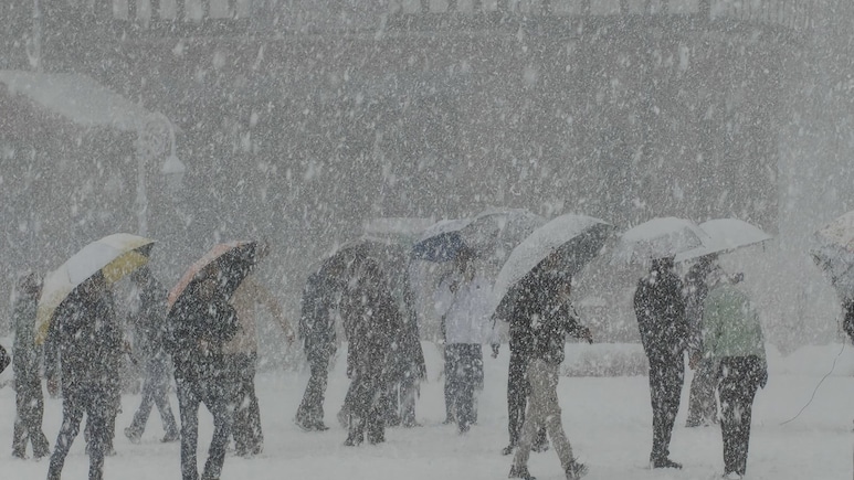 हिमाचल: कुल्लू की बर्फबारी में रात भर फंसे रहे पर्यटक, रेस्क्यू टीम ने समय रहते पहुंचकर बचाई जान