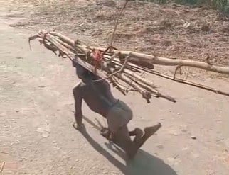 जंगल से लकड़ी लाती हुई दिव्यांग दिल कुमारी बैगा