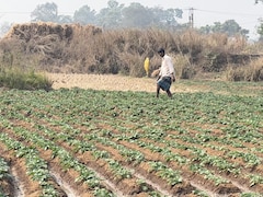 सिंगुर: आंदोलन, सत्ता परिवर्तन और आज का यथार्थ — किसान किसके साथ?