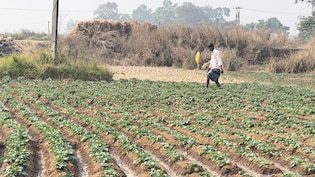 सिंगुर: आंदोलन, सत्ता परिवर्तन और आज का यथार्थ &mdash; किसान किसके साथ?