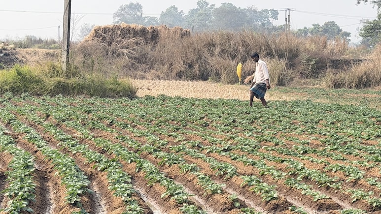 सिंगुर: आंदोलन, सत्ता परिवर्तन और आज का यथार्थ &mdash; किसान किसके साथ?