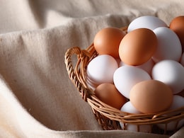 Egg Prices Record: संडे हो या मंडे, कसे खाणार अंडे? दरांमध्ये झाली विक्रमी वाढ; एका डझनचा भाव किती?
