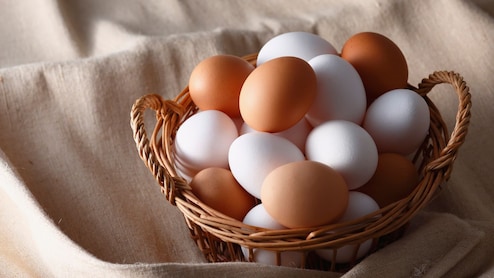 Egg Prices Record: संडे हो या मंडे, कसे खाणार अंडे? दरांमध्ये झाली विक्रमी वाढ; एका डझनचा भाव किती?