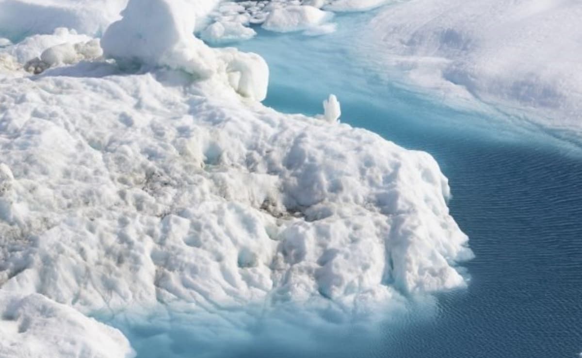 Latest and Breaking News on NDTV Latest and Breaking News on NDTV